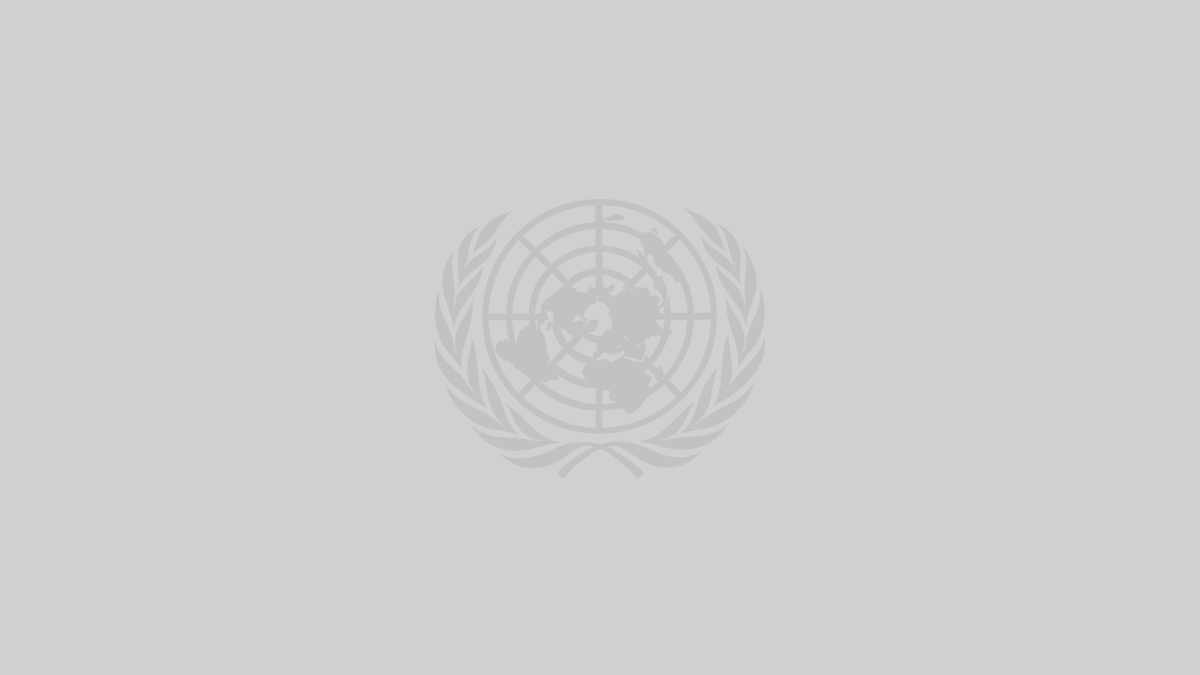 United Nations logo
